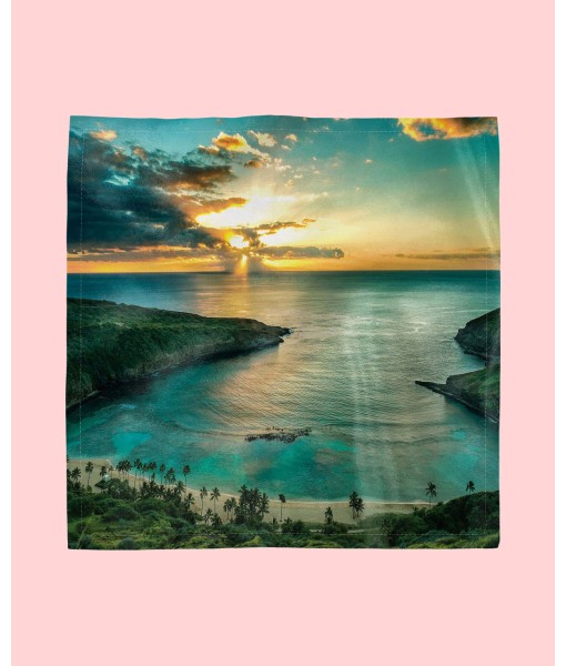 Hawaiian Set of 4 Napkins  12